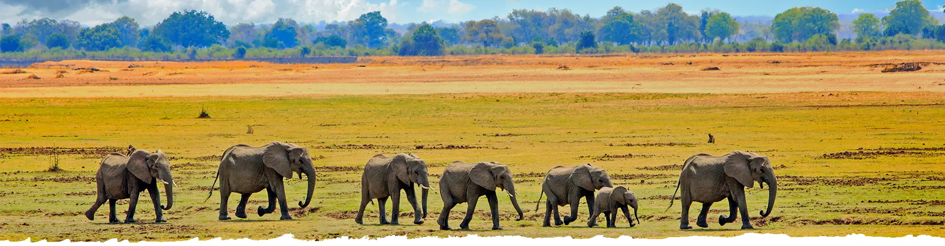 Explore-Zambia-Private-Guided-Safaris