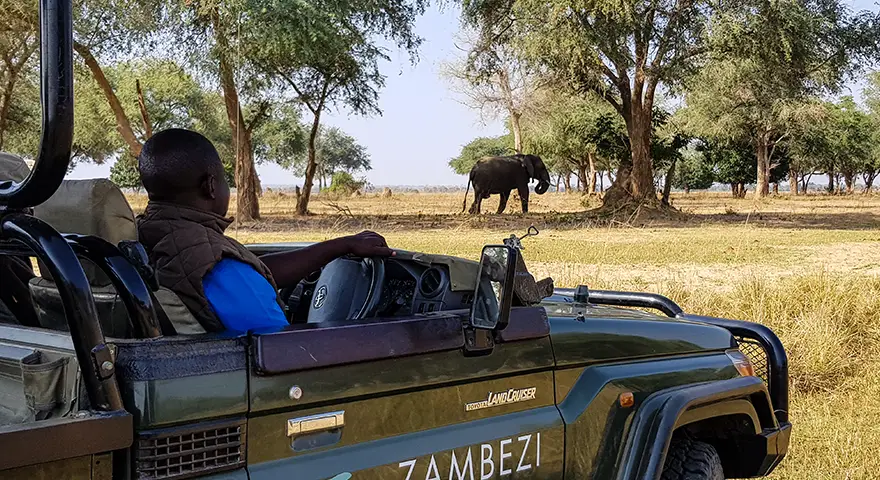 Rates Zambia Itinerary How Much Does A Safari Trip To Zambia Cost 