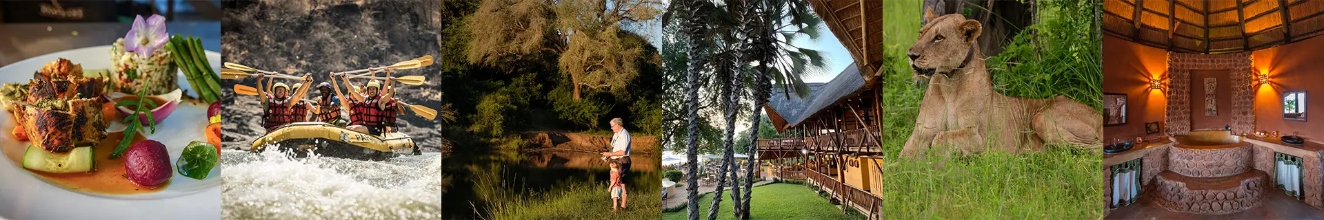 Explore-Zambia-Private-Guided-Safaris-Thank-You